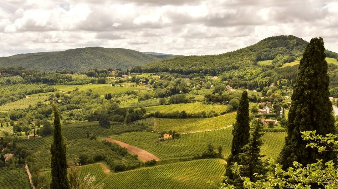 VAT: Italy considers cutting standard VAT rate
